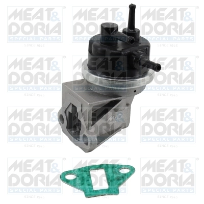 Fuel Pump